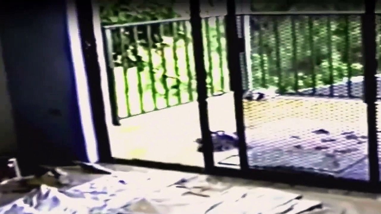 American Nightmare Staffel 1 Folge 3 HD Deutsch