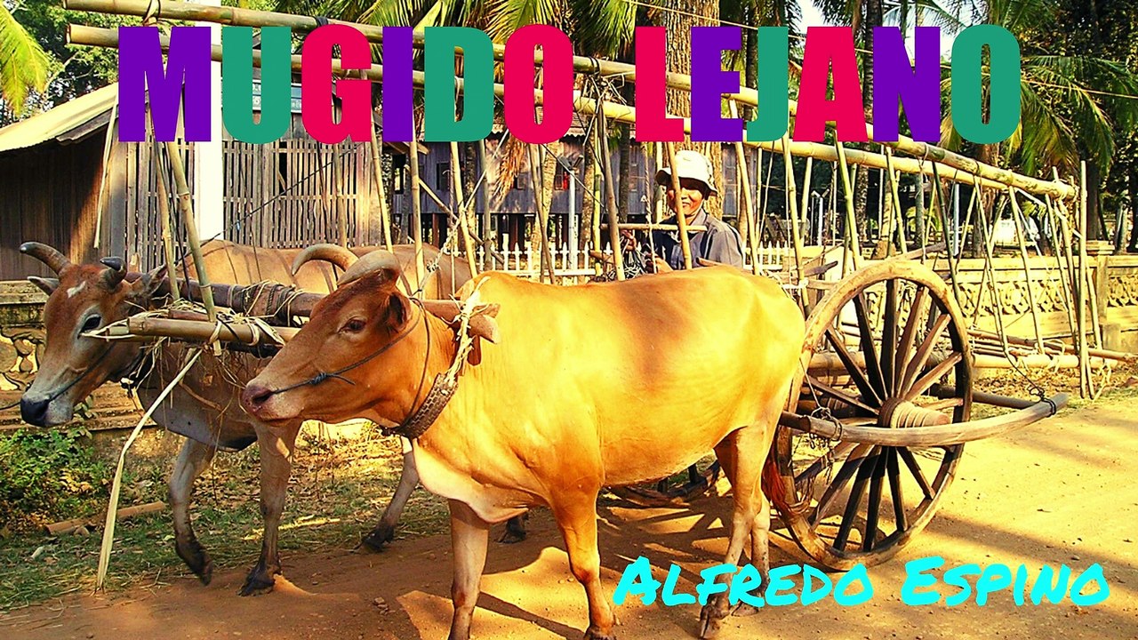 MUGIDO LEJANO ALFREDO ESPINO ‍ | Jícaras Tristes Auras del Bohío  | Alfredo Espino Poemas