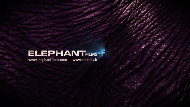 Le Signe de la Croix Bande-annonce (FR)