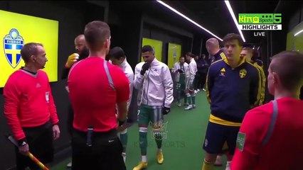 Suede - Algérie 2-0 Résumé et Buts