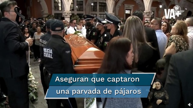 Parvada de pájaros pudo haber ocasionado caída de helicóptero, según Fiscalía de Aguascalientes
