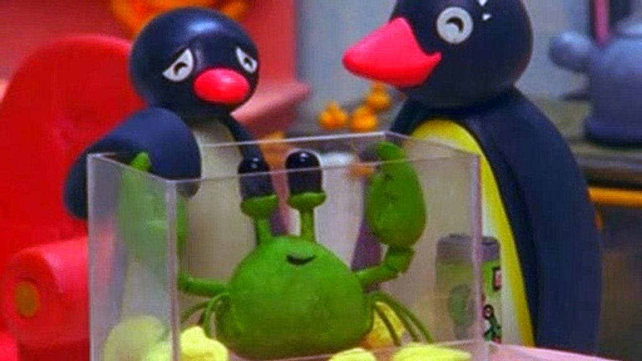 Pingu S06E13 pingu and the school pet