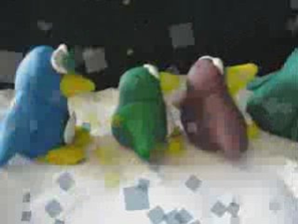 Pingo moon