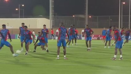 World Cup: Ecuador prepare to take on hosts Qatar