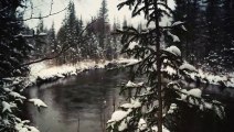 5 Minute Winter Solitude _ Snowfall Video for relaxation, meditation and  Sleep _ 4K