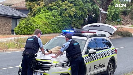 Common Grounds cafe patrons stop 'axe-wielding' robber at the Gowrie Friendly Grocer