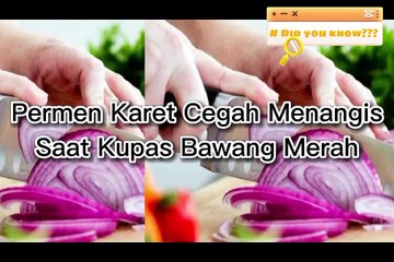 Permen karet bisa mencegah menangis saat kupas bawang merah