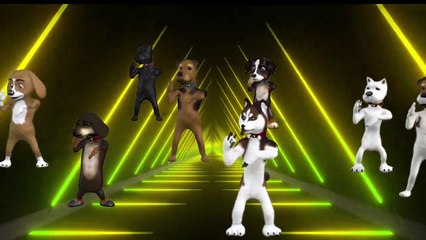 playing with very cute animals