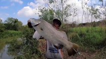 Great!! The first time White Snapper Fishing in the River Weighing 23 Kg