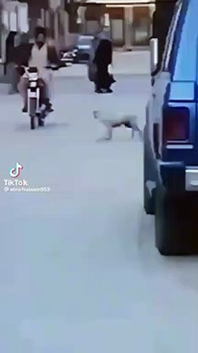 Random clip