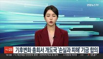 COP27, 개도국 기후재앙 '손실과 피해' 기금 합의