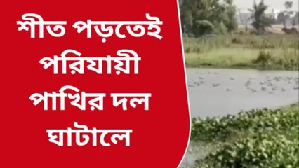 ঘাটাল: শীত পড়তেই কারা এসে হাজির হল?