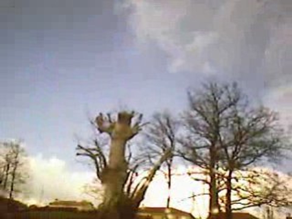 SOUVENIR DE BOISSEUIL 2008