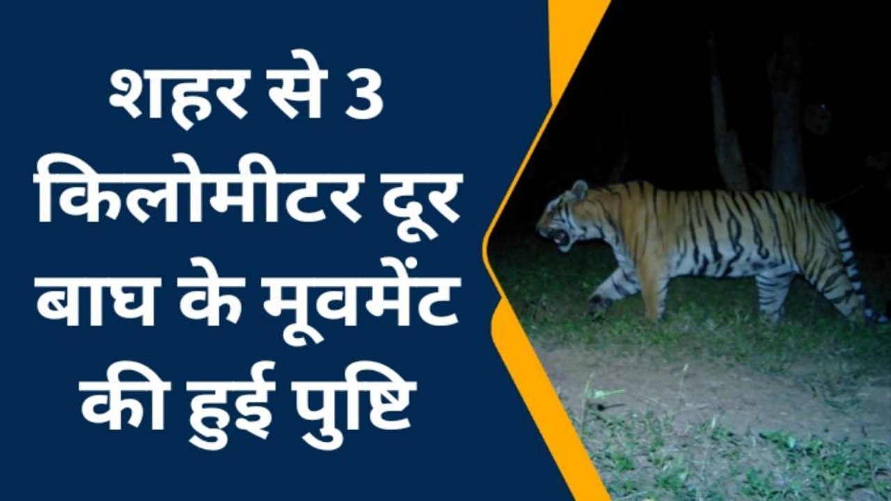 बैतूल:वन विभाग द्वारा जंगल में जताई गई बाघ की स...