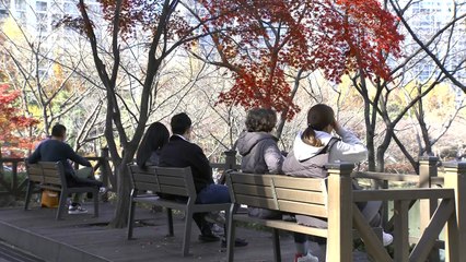 [날씨] 내일 구름 많고 온화한 가을...큰 일교차 주의 / YTN
