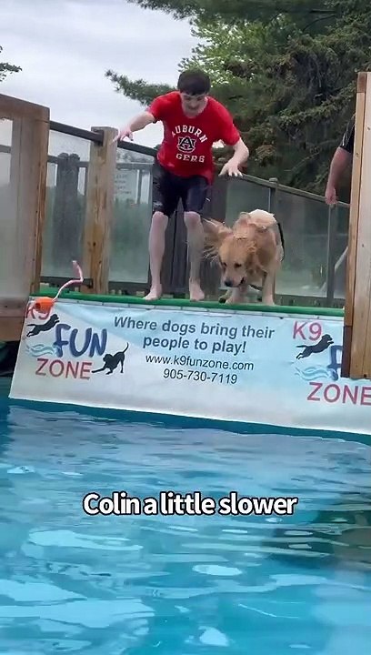 Funny difference between two dogs