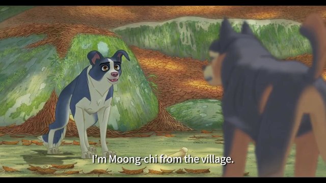 Nous, les chiens Bande-annonce (EN)