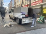 Zehirlendiği düşünülen köpek tedavi altına alındı