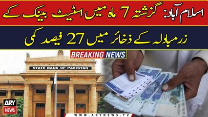 27% decrease in foreign exchange reserves of State Bank in the last 7 months