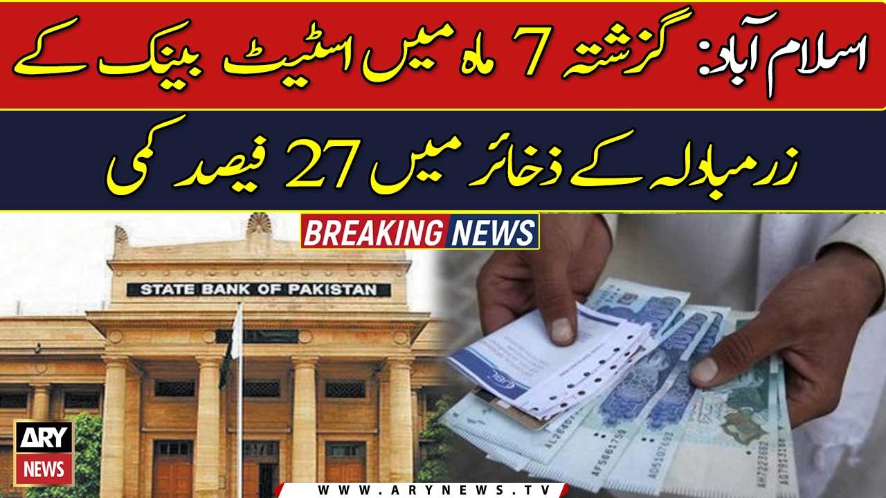 27% decrease in foreign exchange reserves of State Bank in the last 7 months