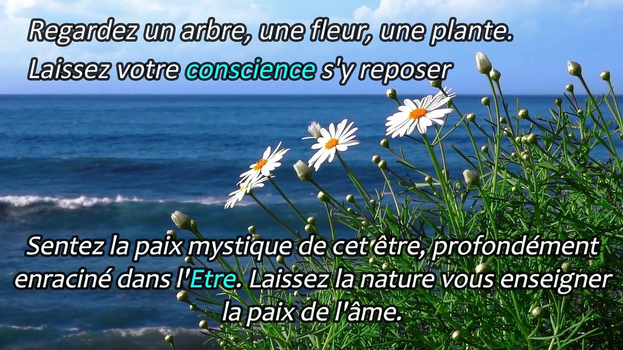 LIVRE AUDIO QUIETUDE - LE SILENCE ET LA QUIETUDE (chap. 1) - ECKHART TOLLE EN FRANCAIS