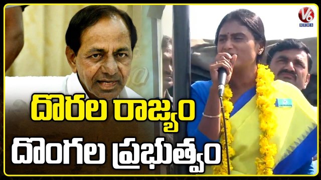 YS Sharmila Praja Prasthanam Padayatra In Kamalapuram _ Hanamkonda Dist _ V6 News
