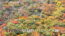 배우 주부진이 토스트집 주인이 된 사연은 과연?_기적의 습관 156회 예고 TV CHOSUN 221122 방송