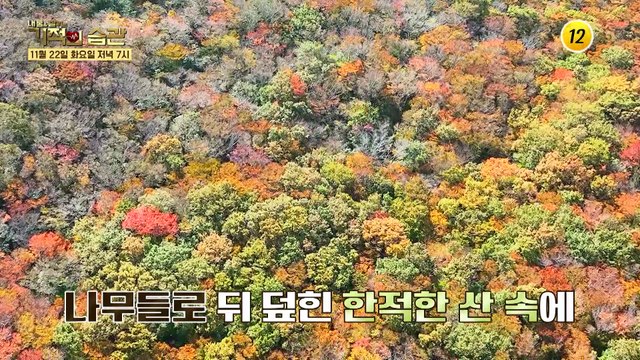 배우 주부진이 토스트집 주인이 된 사연은 과연?_기적의 습관 156회 예고 TV CHOSUN 221122 방송