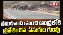 తమిళనాడు నుంచి ఆంధ్రలోకి ప్రవేశించిన  ఏనుగుల గుంపు || Chittoor District || ABN Telugu