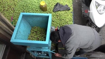 Gaziantep zeytini kendi üretiyor kendi tüketiyor