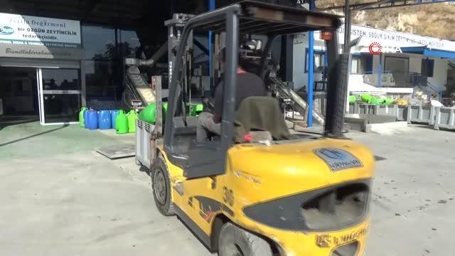 Zeytinyağı Fabrika Sorumlusu Betül Orak: Zeytinyağı anne sütünden sonra en yararlı besin kaynaklarından birisidir.