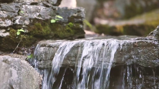 Relaxing River with Birdsong, Peaceful Stream, River Sounds for Sleep, Relaxing, Study, ASMR