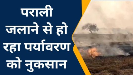 औरैया : सरकार और प्रशासन की कोशिश के बावजूद धड़ल्ले से जल रही है पराली‚ देखें यह रिपोर्ट