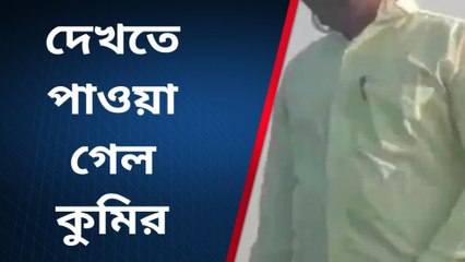 পাথরপ্রতিমা: নদী পাড়ে রোদ পোহাচ্ছে বিশালাকৃতির কুমির! খুশি নৌকা যাত্রীরা