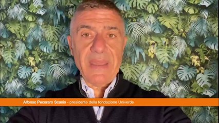 Cop 27, Pecoraro Scanio "Nessun impegno per ridurre le emissioni"