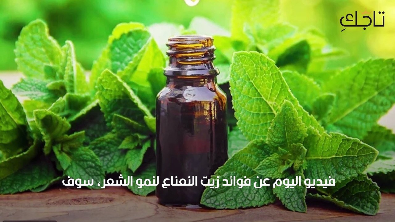 فوائد زيت النعناع لتسريع نمو الشعر