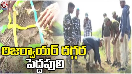 Forest Officials Taking Several Steps to Caught Tiger | Komaram Bheem Dist | V6 News