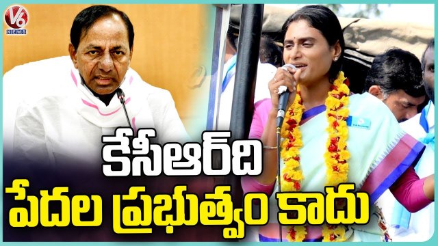 YS Sharmila Slams CM KCR | Praja Prasthanam Padayatra | Kamalapuram | Hanamkonda Dist | V6 News