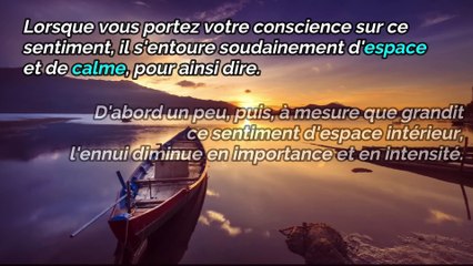 QUIETUDE - AU DELA DU MENTAL (chap. 2) - ECKHART TOLLE EN FRANCAIS