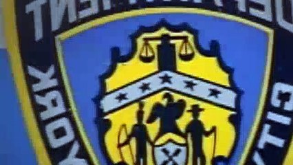 NYPD Blue Season 2 Episode 6 The Final Adjustment