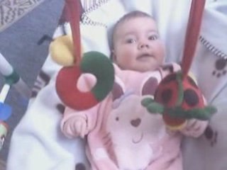 Punching coccinelles 170308