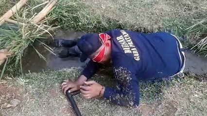 Funny videos caught on security camera