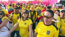 Coupe du monde : les fans de l'Equateur se chauffent avant le match contre le Qatar