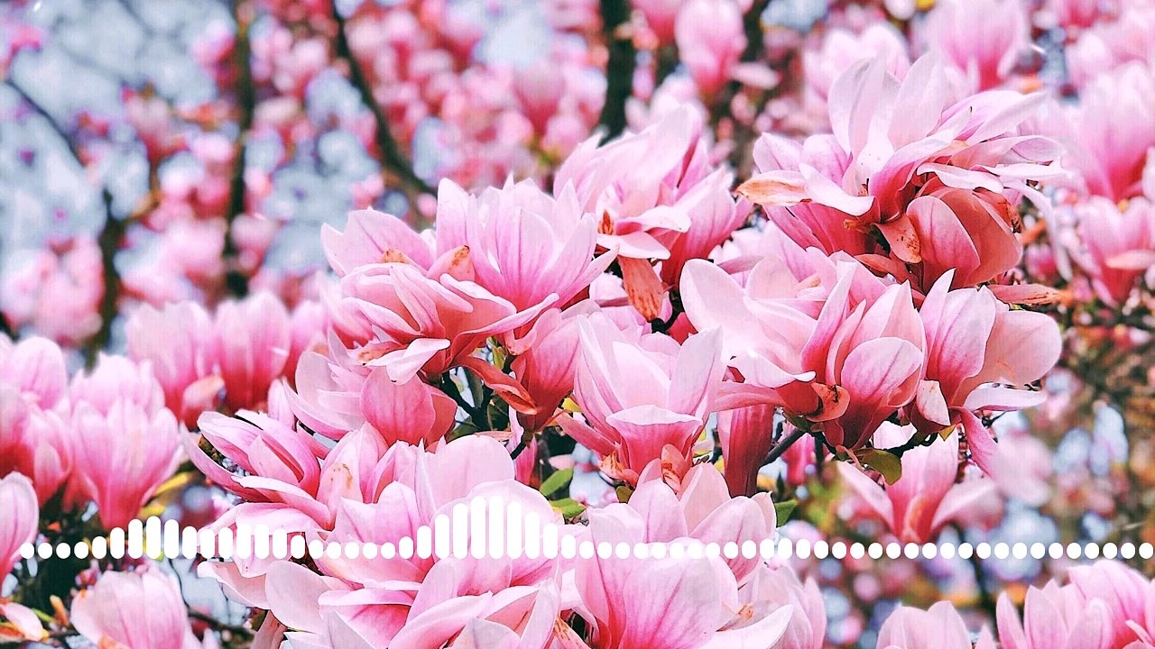 Famous Japanese Beautiful Relaxing Music For Stress Relief And Sleep. Calming Meditation Relaxation Spa. Musica Relajante. Musique relaxante.