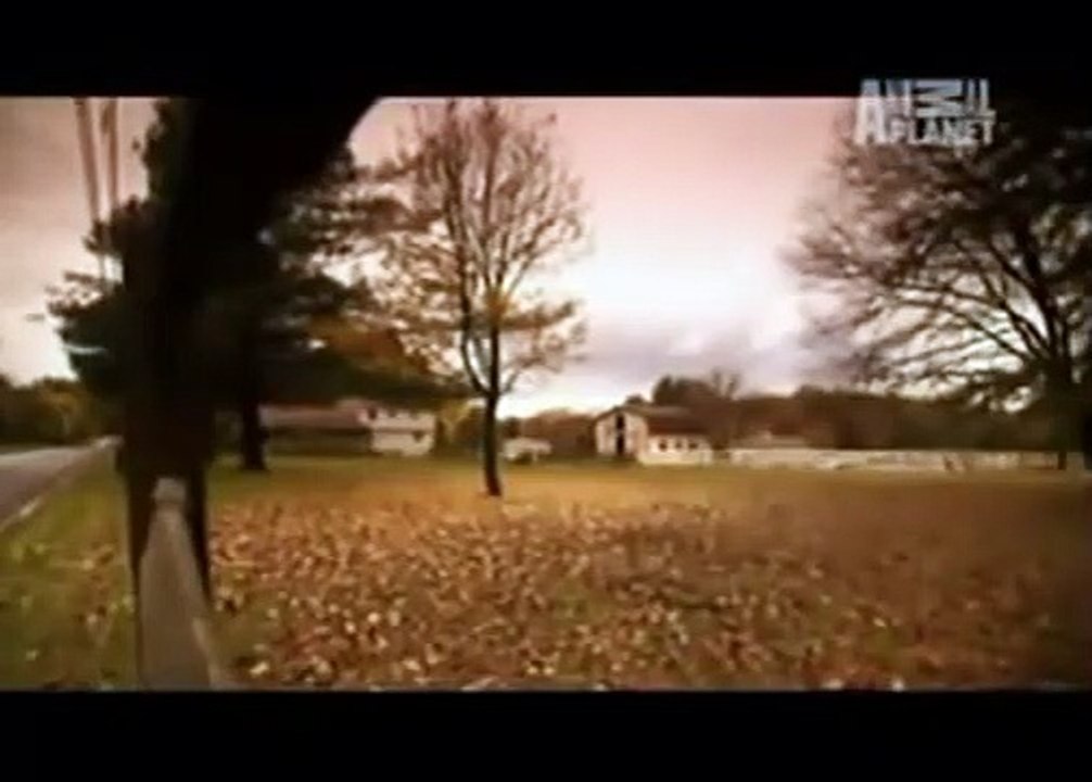 Instinto paranormal - Um lugar para morrer