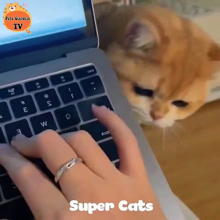 Cutie
