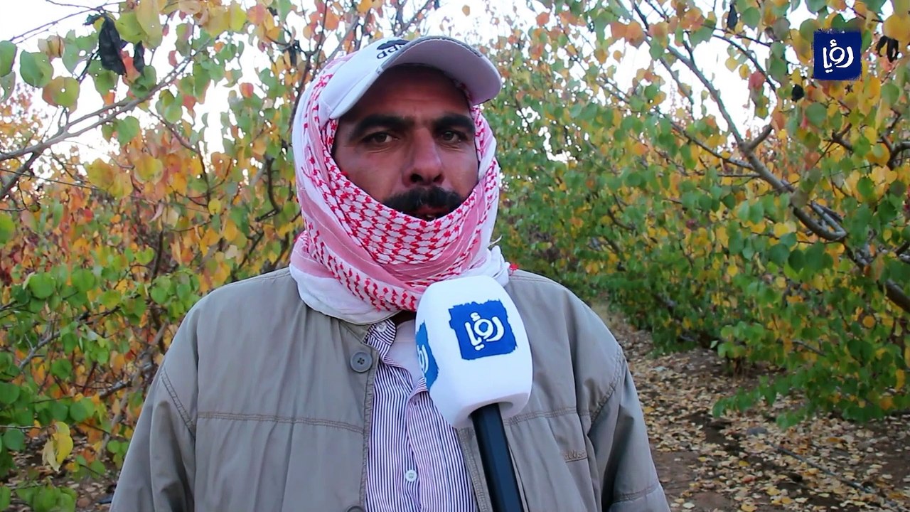 كدّ وتسرّب من التعليم يطبع جيلا جديدا من اللاجئين السوريين