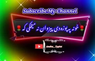 Qurban yi shama |Pashto song | pashto black screen status | ansha__typist.