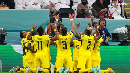 Mondial 2022 : douche froide pour le Qatar, surclassé en ouverture par l'Équateur (2-0)