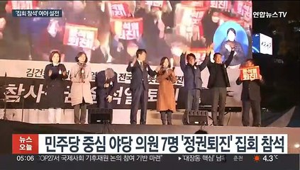 야 의원'정권 퇴진' 집회 참석 공방…"의원 아닌 선동꾼" "또 억지주장"